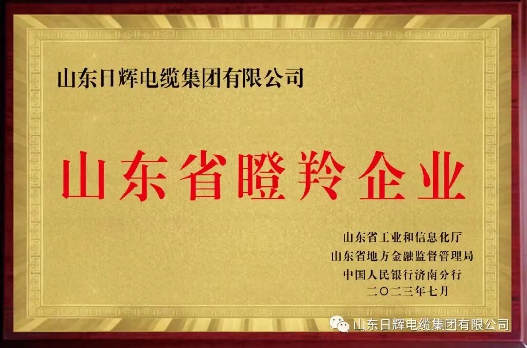 山东省瞪羚企业.jpg