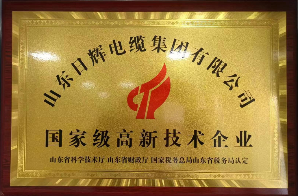 国家级高新技术企业.png