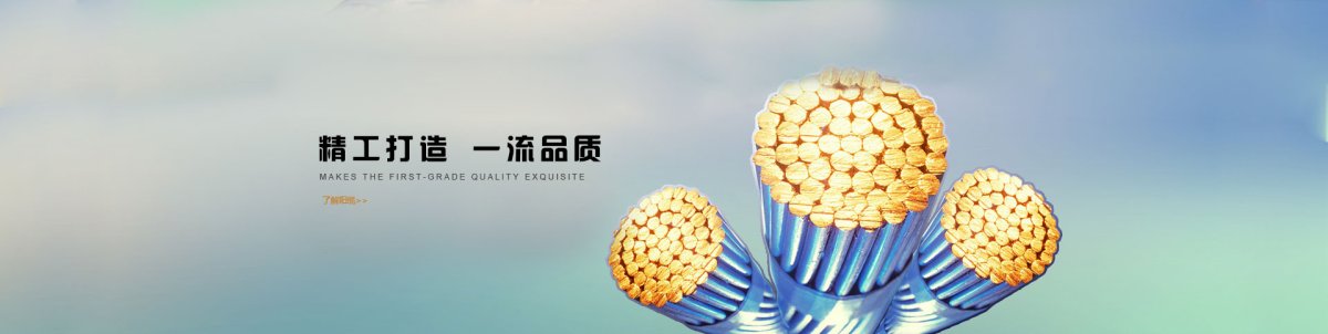 山东日辉电缆集团产品与厂区实景