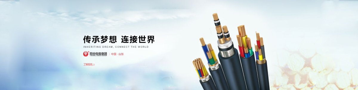 阳谷电缆