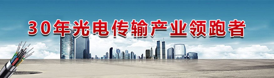 阳谷电缆